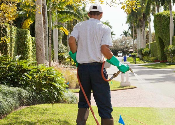 About Lehighton PA Pest Control
